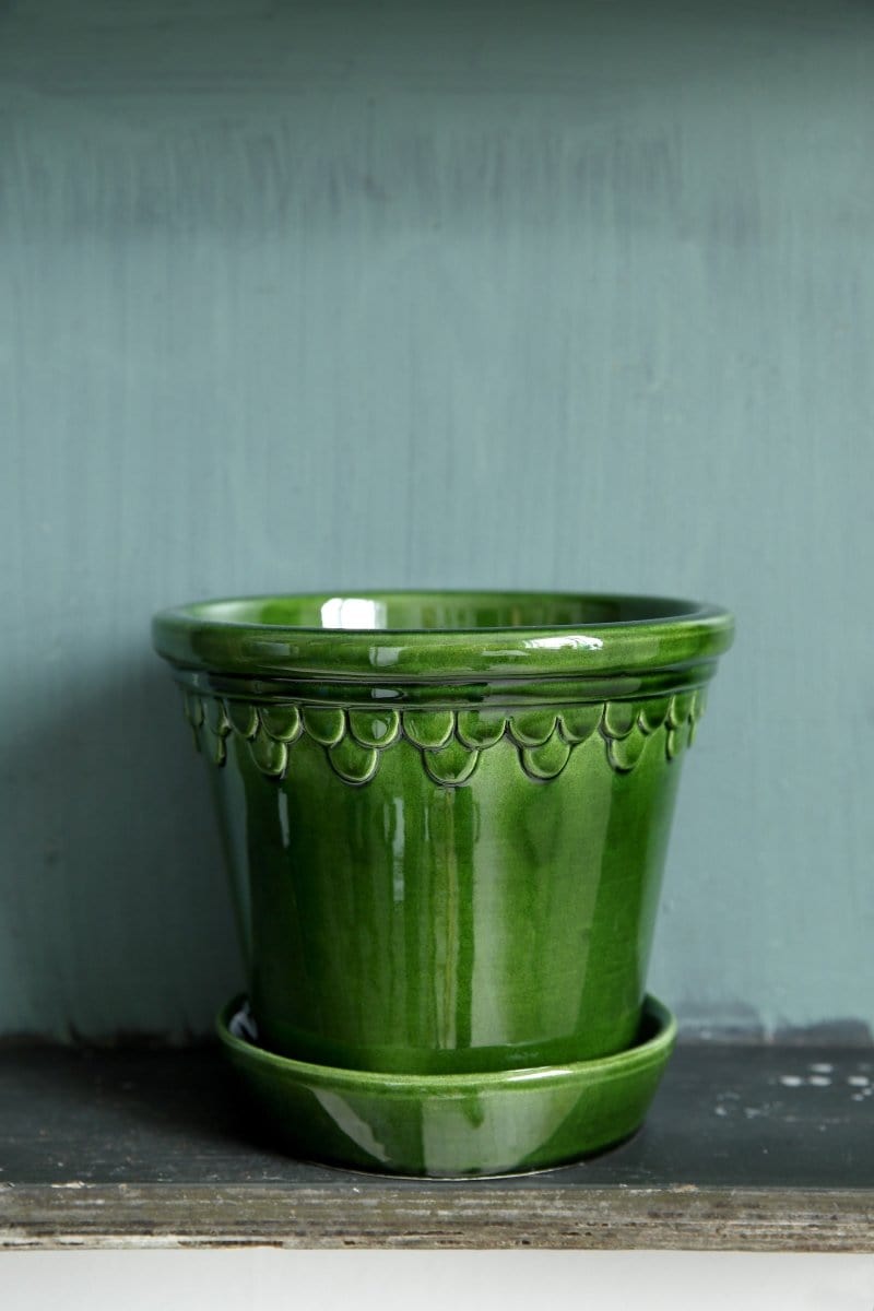 Københavner 'Glazed by Bergs', portgrøn - Blomsterverden